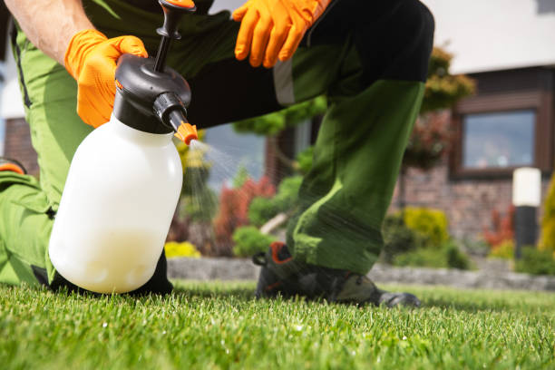 Best Rat Extermination Near Me  in Anahuac, TX