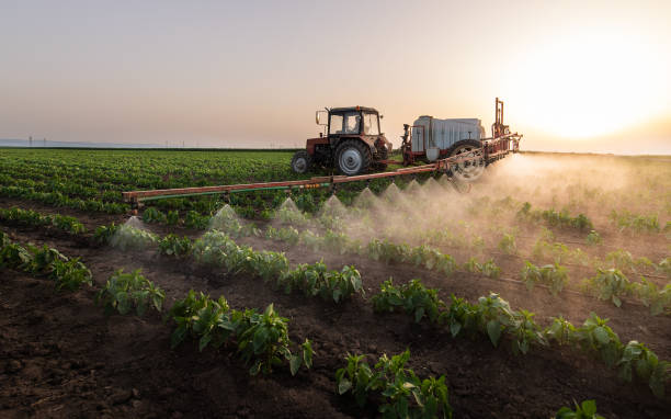 Best Pest Control for Businesses  in Anahuac, TX