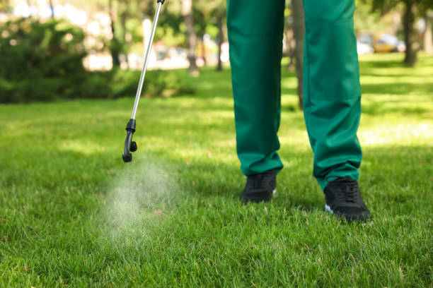 Best Mosquito Control Services  in Anahuac, TX