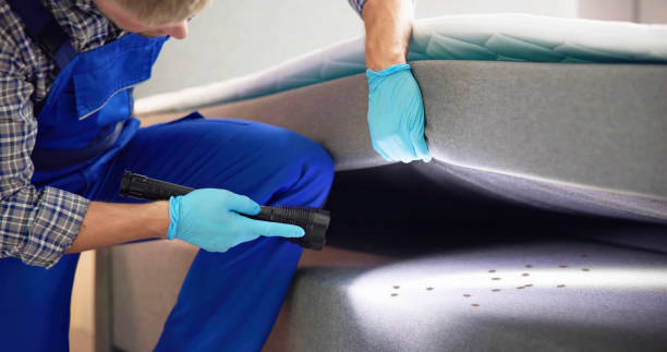Best Wasp Removal Services  in Anahuac, TX
