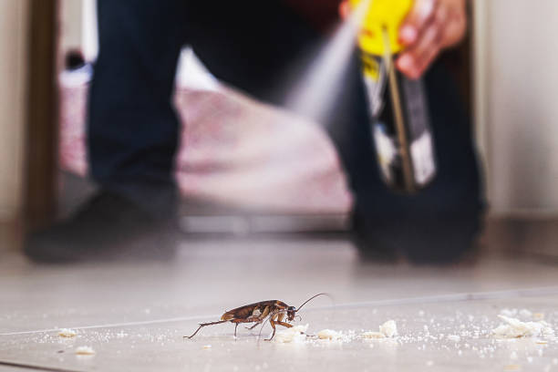 Best Local Pest Control Services  in Anahuac, TX